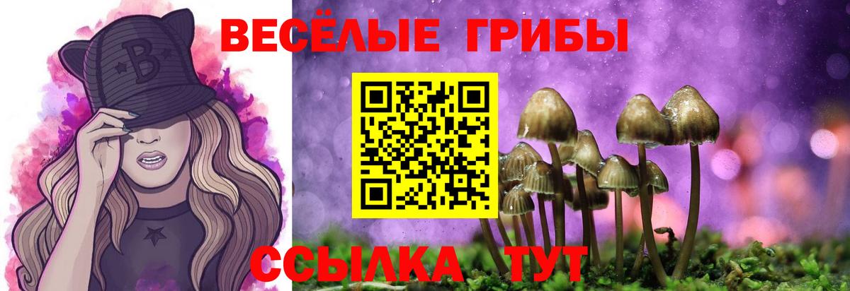 Галлюциногенные грибы Cubensis Ртищево