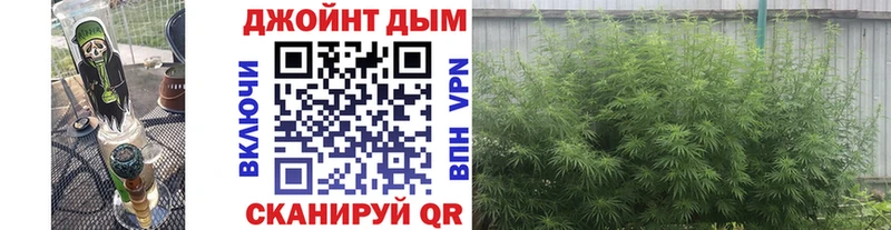 цены   Ртищево  Конопля гибрид 